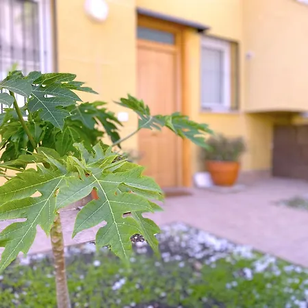 Tropicalidays Altos Del Roque Costa Adeje