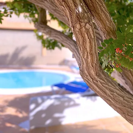 Tropicalidays Altos Del Roque Адехе